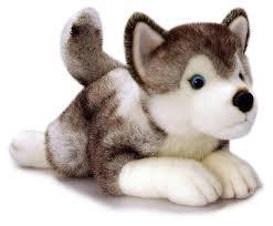 Husky