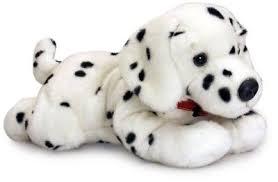 Dalmation