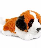 St Bernard