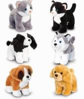 Standing Dogs  and Cats With Sound