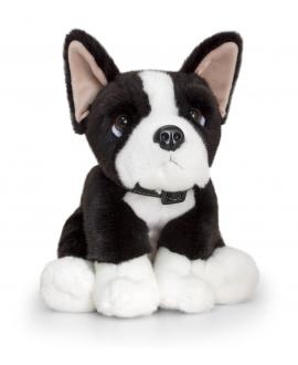 Boston Terrier
