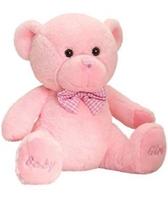 Baby Girl Bear