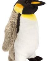 Emperor Penguin