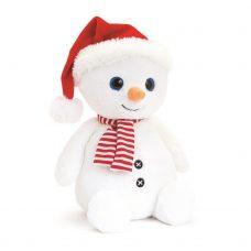 Snowman With Hat And Scarf